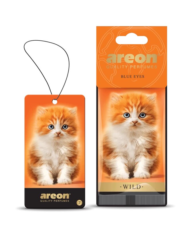 Mon Areon wild Blue Eyes